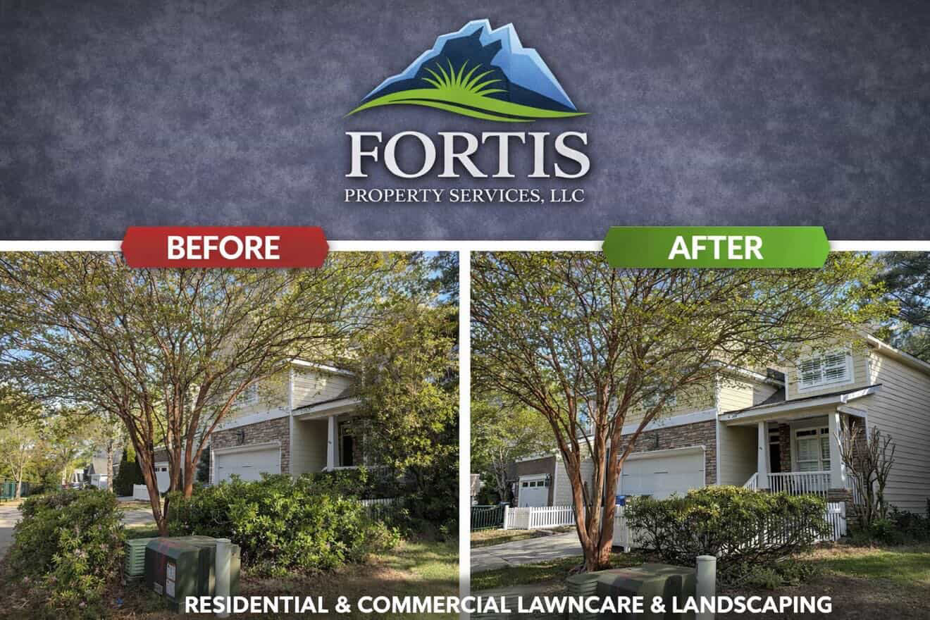 Maintained home landscape after Fortis mowing and edging service
